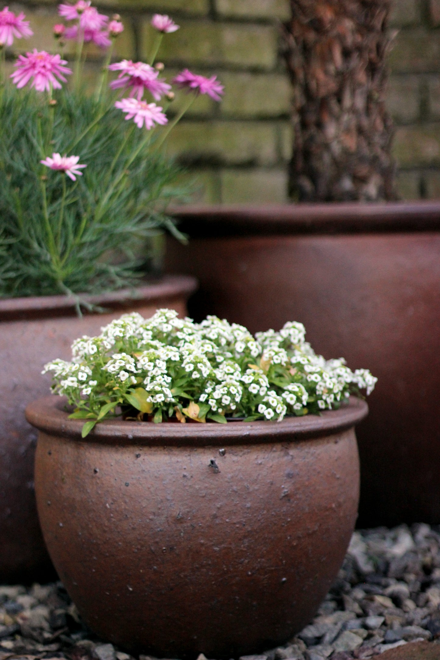 Maceta cerámica Rústica Senegal