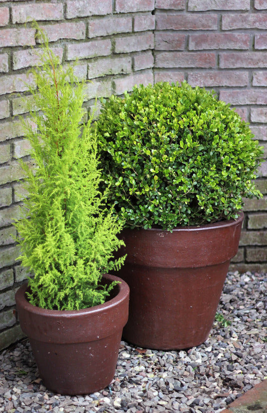 Maceta cerámica Rústica Nigeria