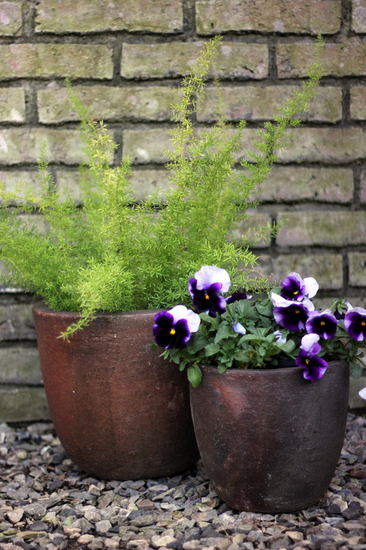 Maceta cerámica Rústica Zambia