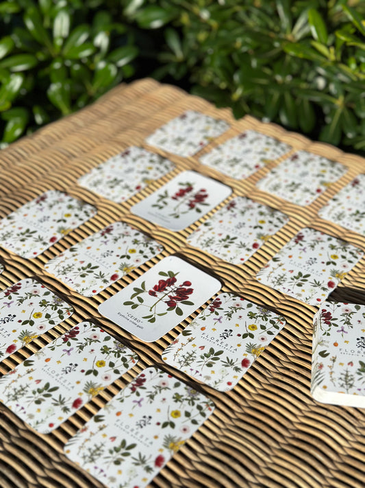 Juego de la Memoria (Colección Flora nativa)