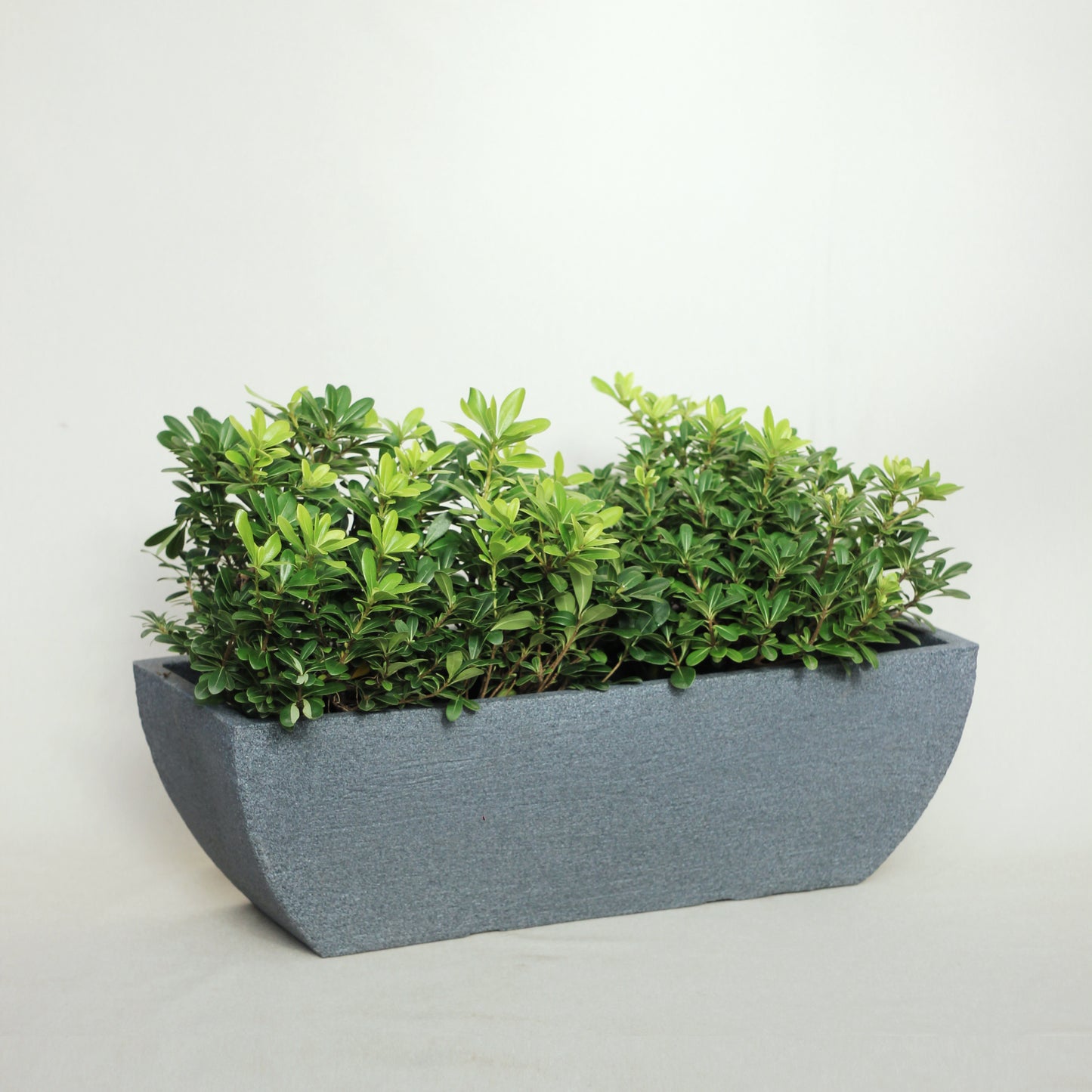 Jardinera rotomoldeada