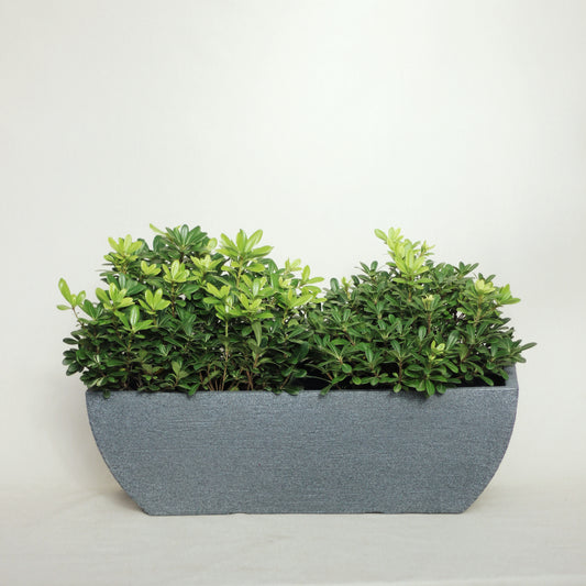 Jardinera rotomoldeada