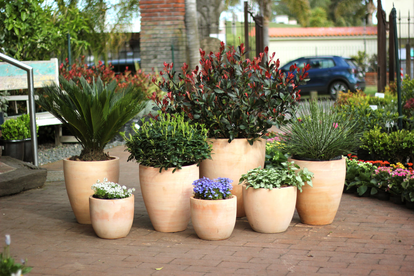 Maceta Terracota Camerún