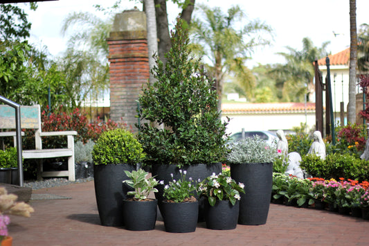 Maceta rotomoldeada cónica baja