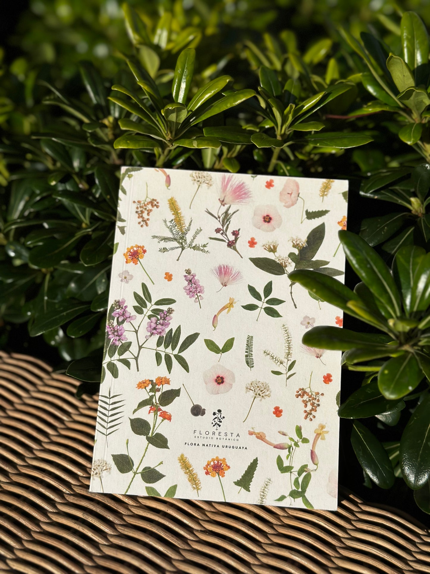 Pack de 2 Notebooks (Colección Flora Nativa)