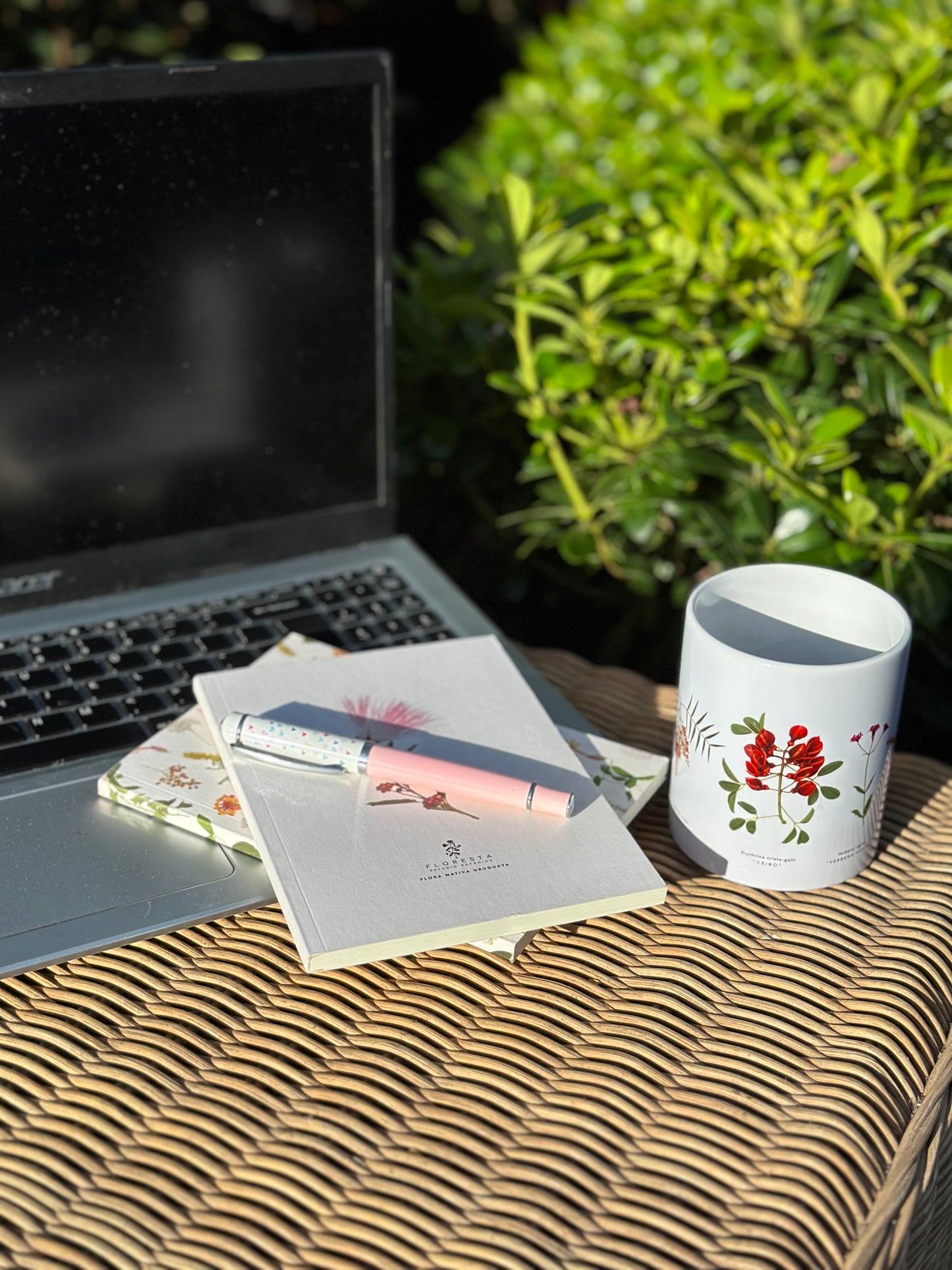 Pack de 2 Notebooks (Colección Flora Nativa)