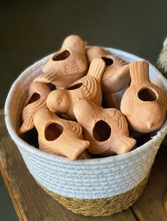 Regador terracota