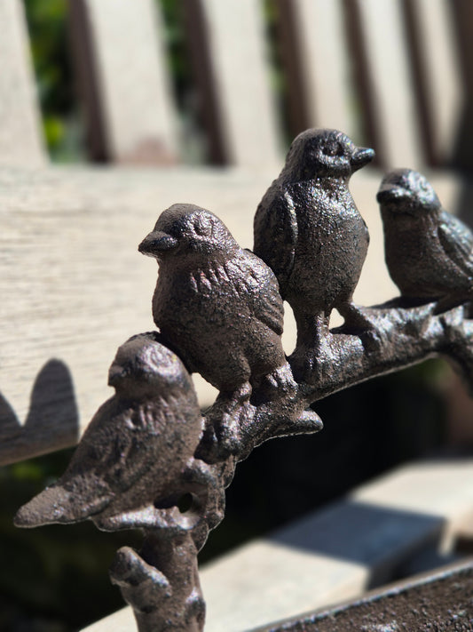 Bebedero pájaros aplique pared