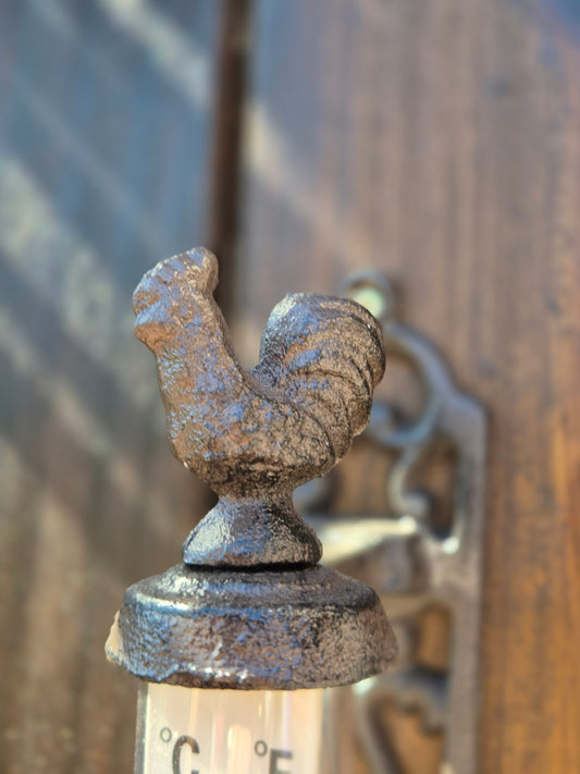 Termómetro de exterior de hierro gallo