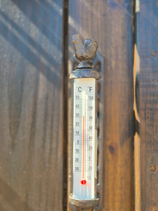 Termómetro de exterior de hierro gallo