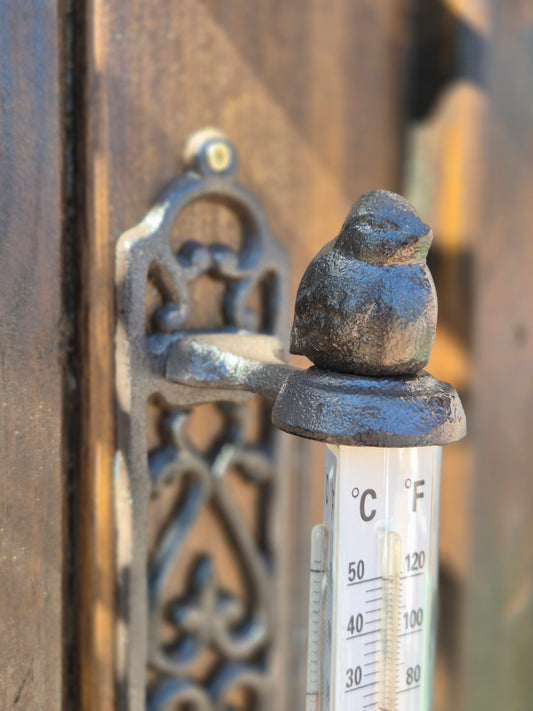 Termómetro de exterior de hierro pájaro