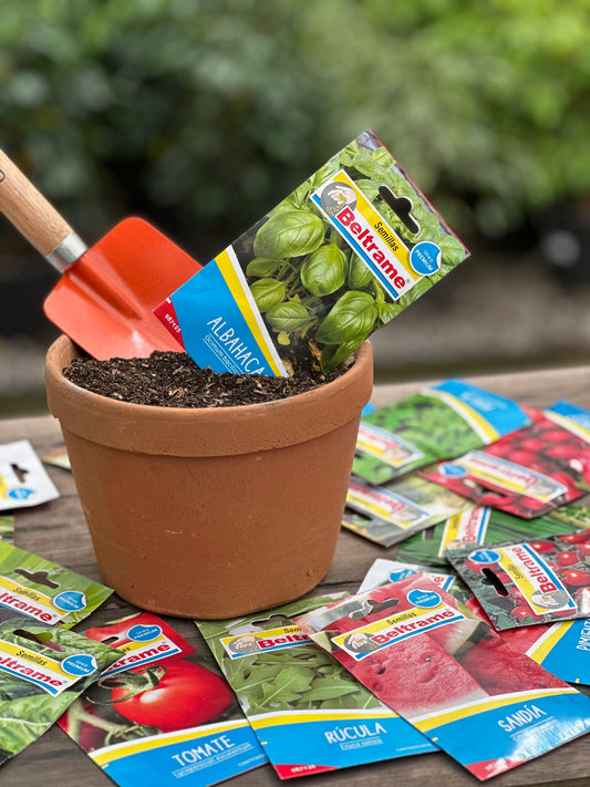 Semillas para huerta