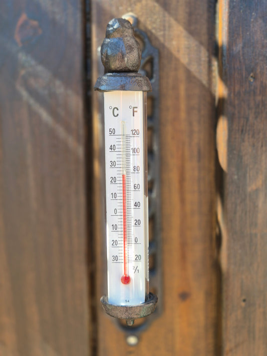 Termómetro de exterior de hierro pájaro