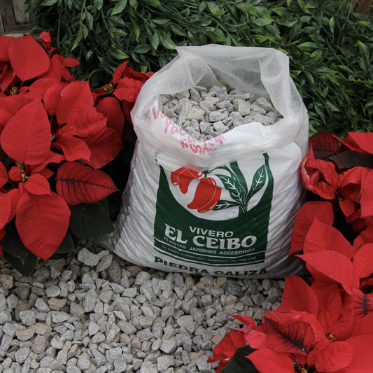 Piedra caliza partida