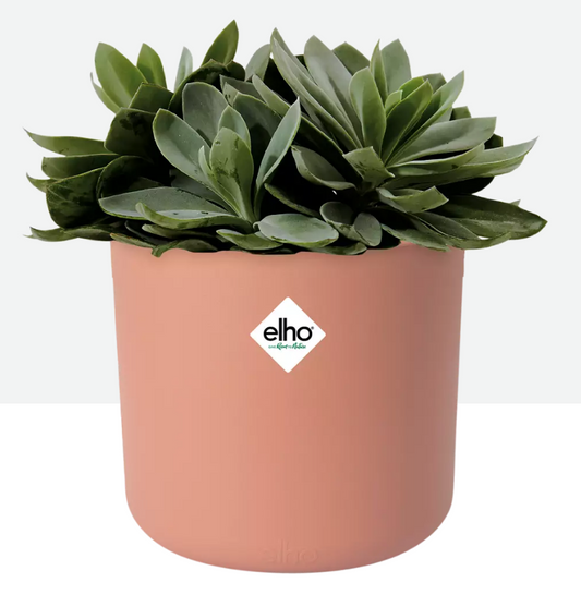 Maceta elho soft round