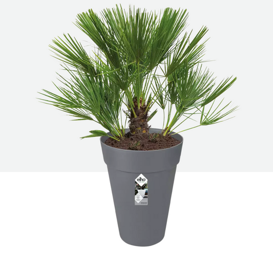 Maceta elho alta con drenaje 35cm