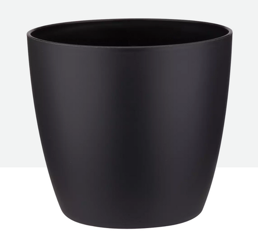 Maceta elho brussels round