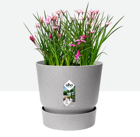 Maceta elho greenville round