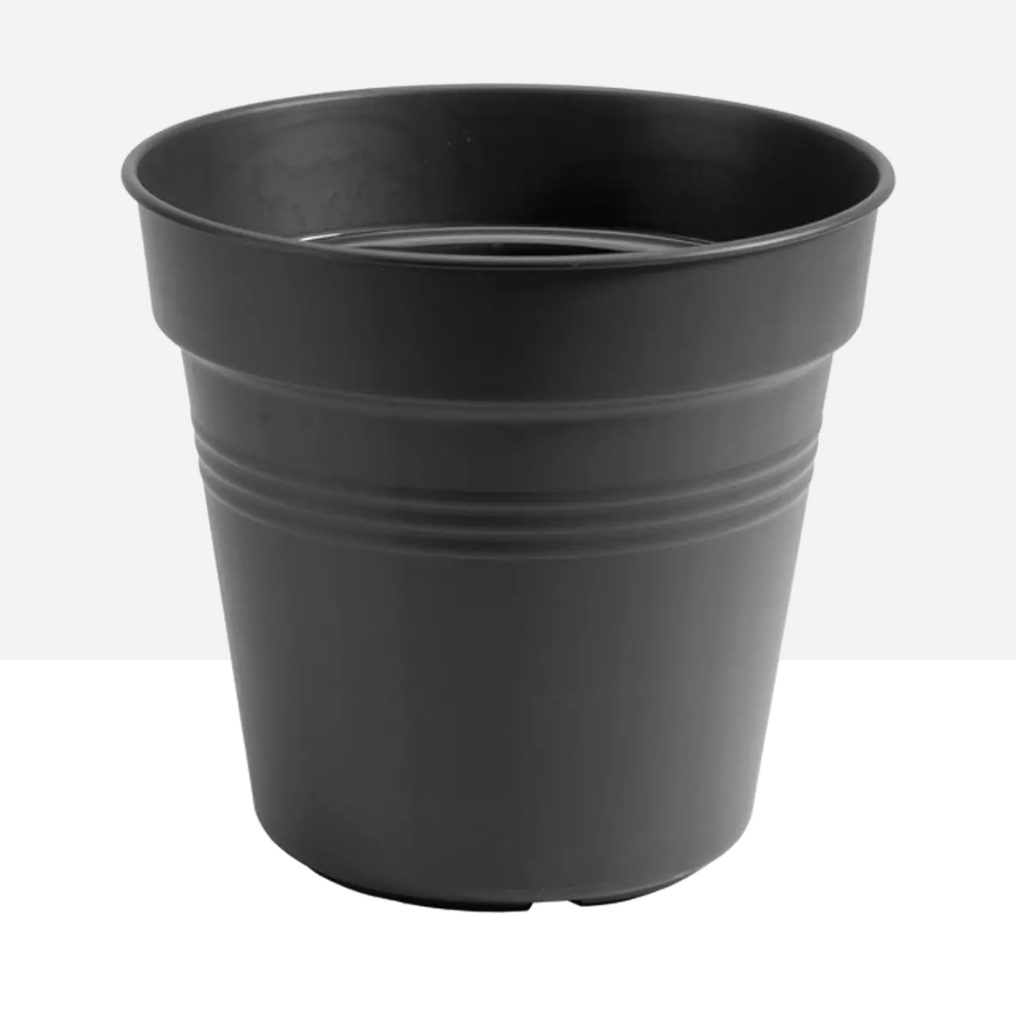 Maceta elho green basic growpot