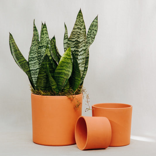 Maceta barro importada cilíndrica