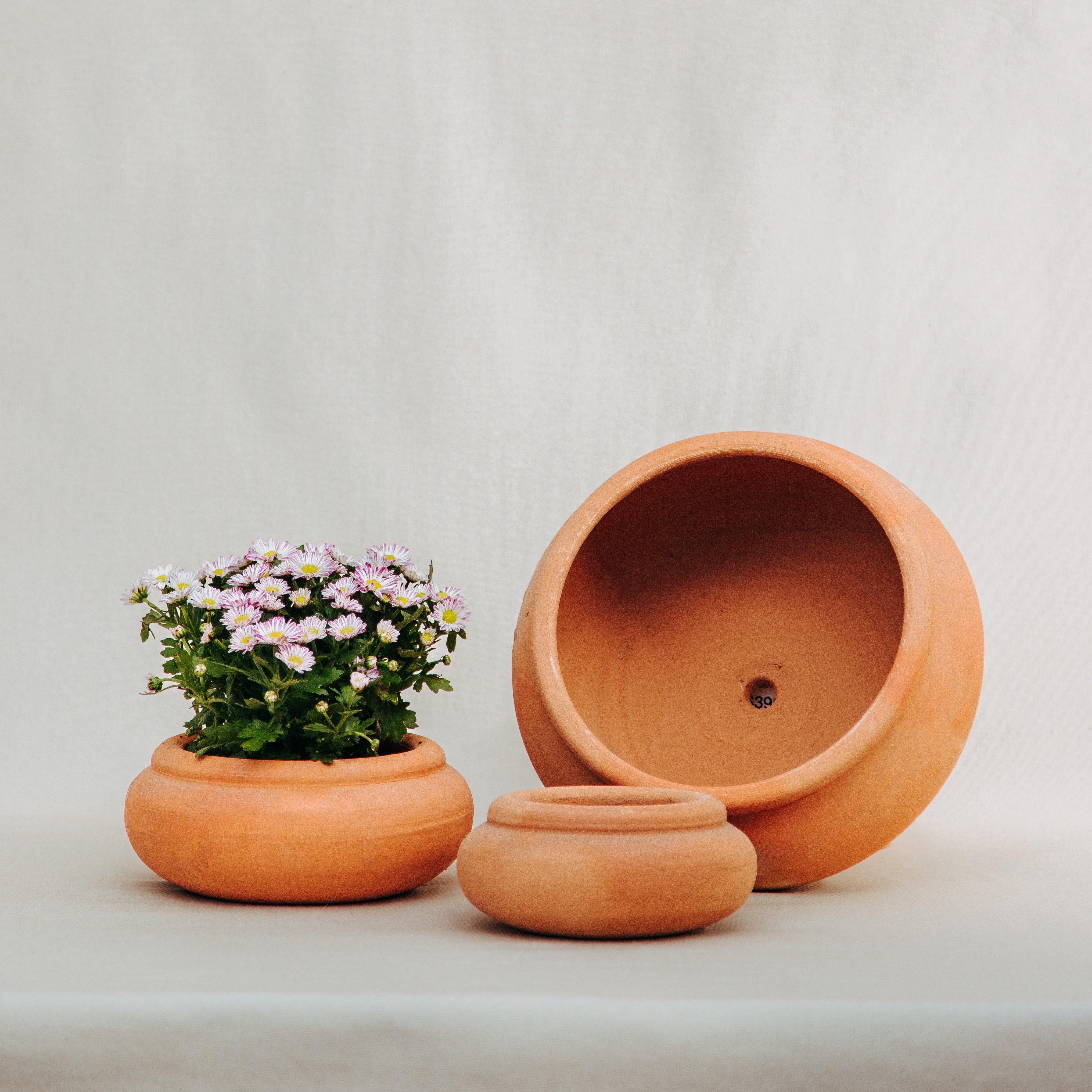 Bowl de barro con borde – Vivero El Ceibo