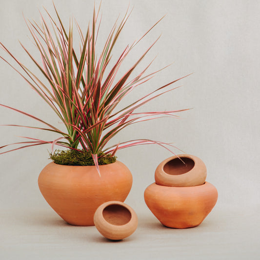 Maceta barro Bowl sin borde