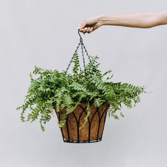 Maceta colgante de coco cónica