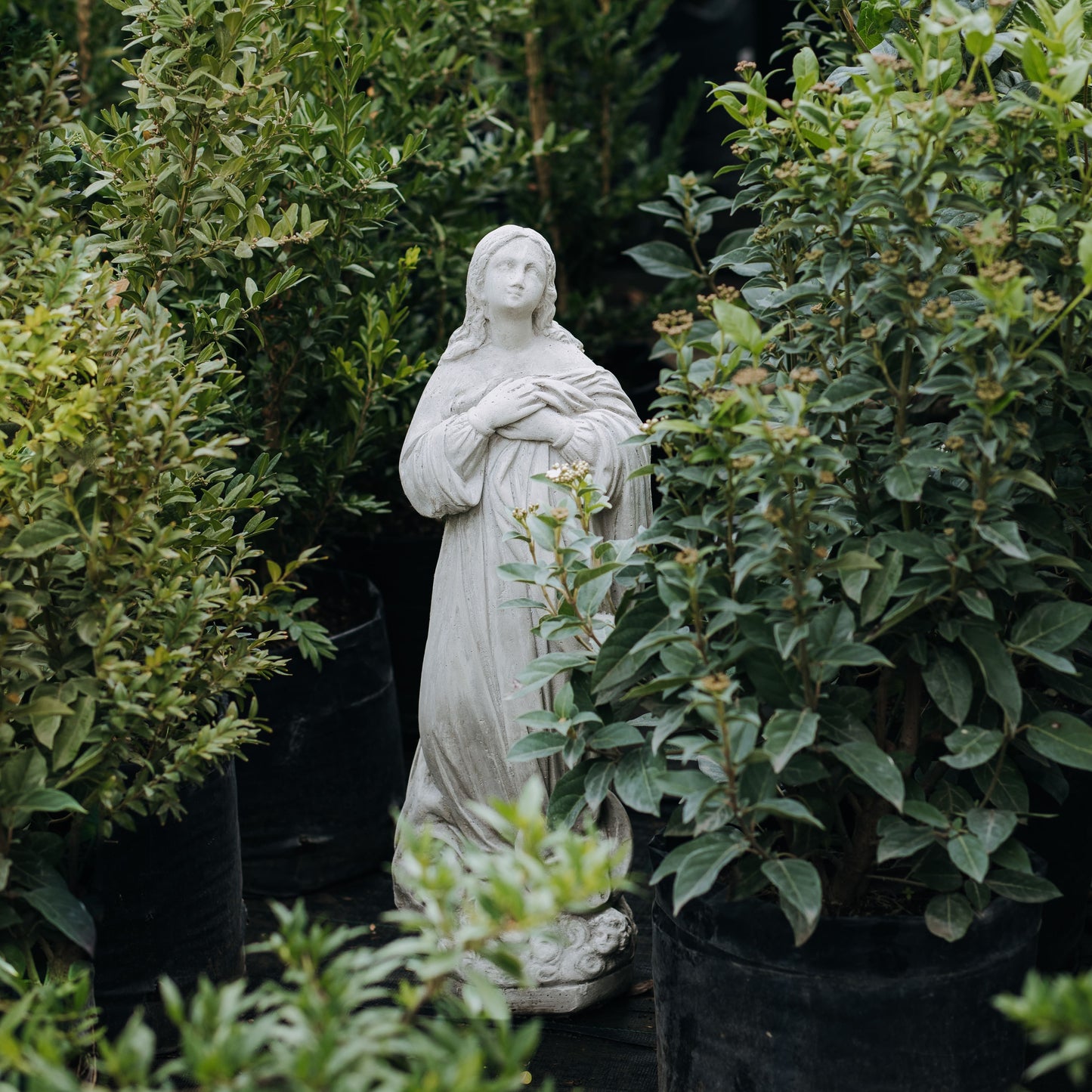 Virgen del Verdún 60cm