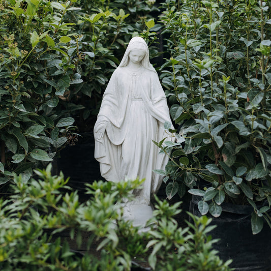 Virgen milagrosa de jardín 65cm