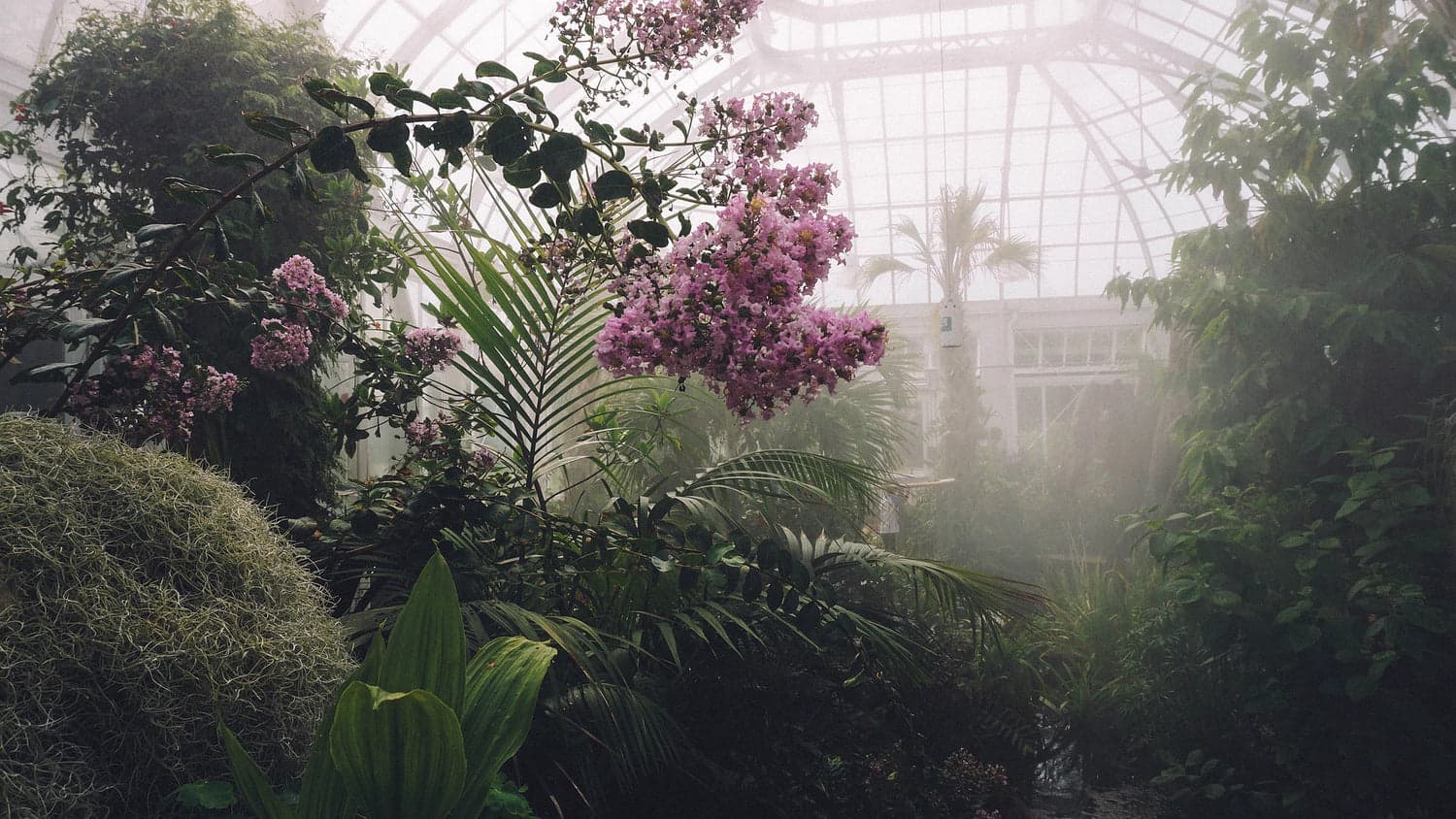 Vivero El Ceibo