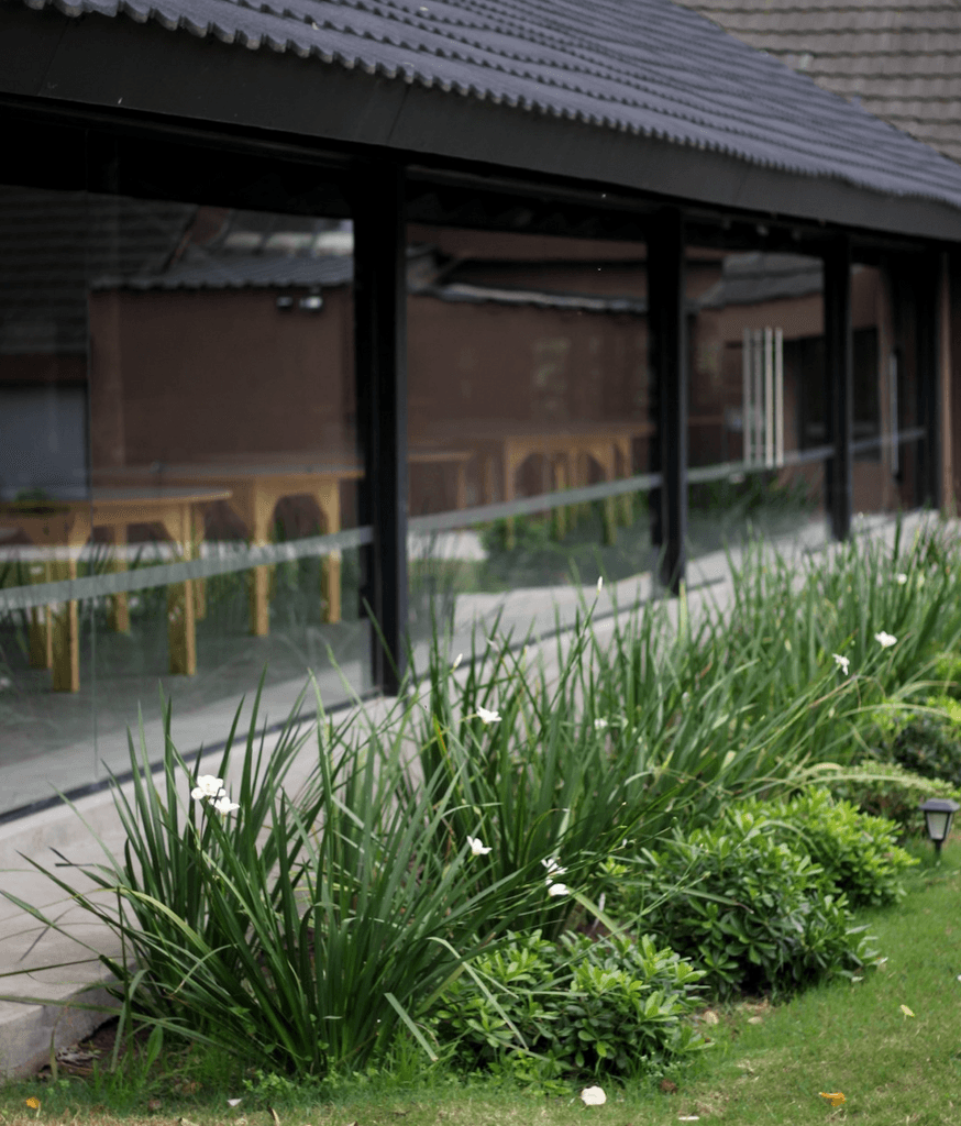 Cantero pittosporum y salvia