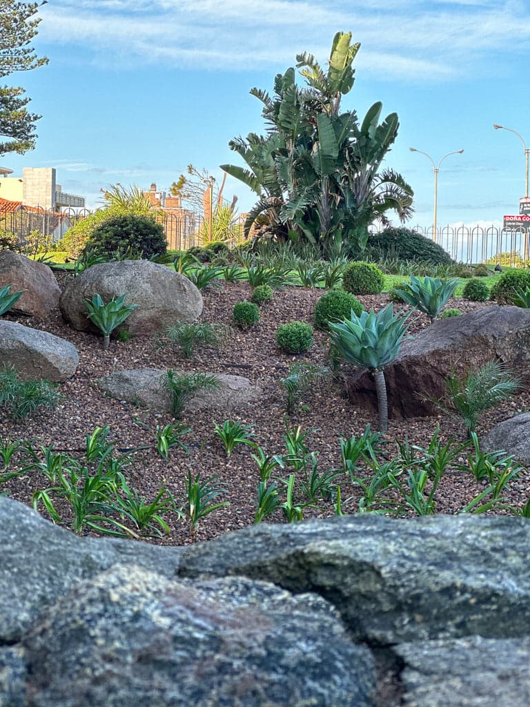 Vista del jardín frente al mar