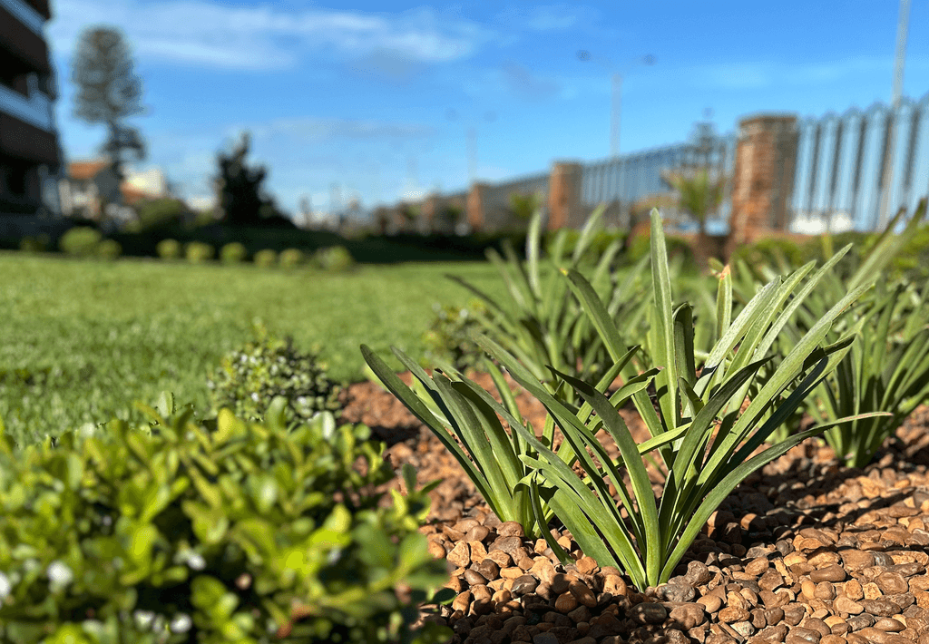 Detalle de plantación costera