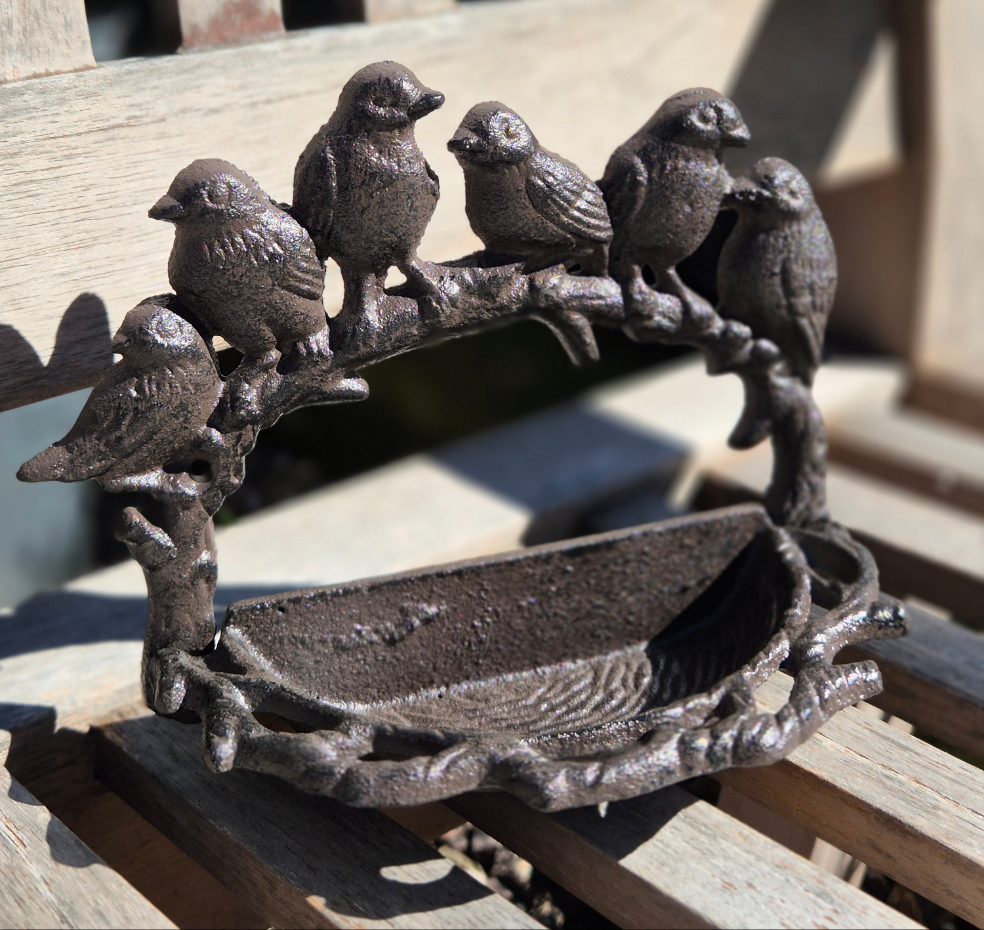 Bebedero pájaros aplique pared