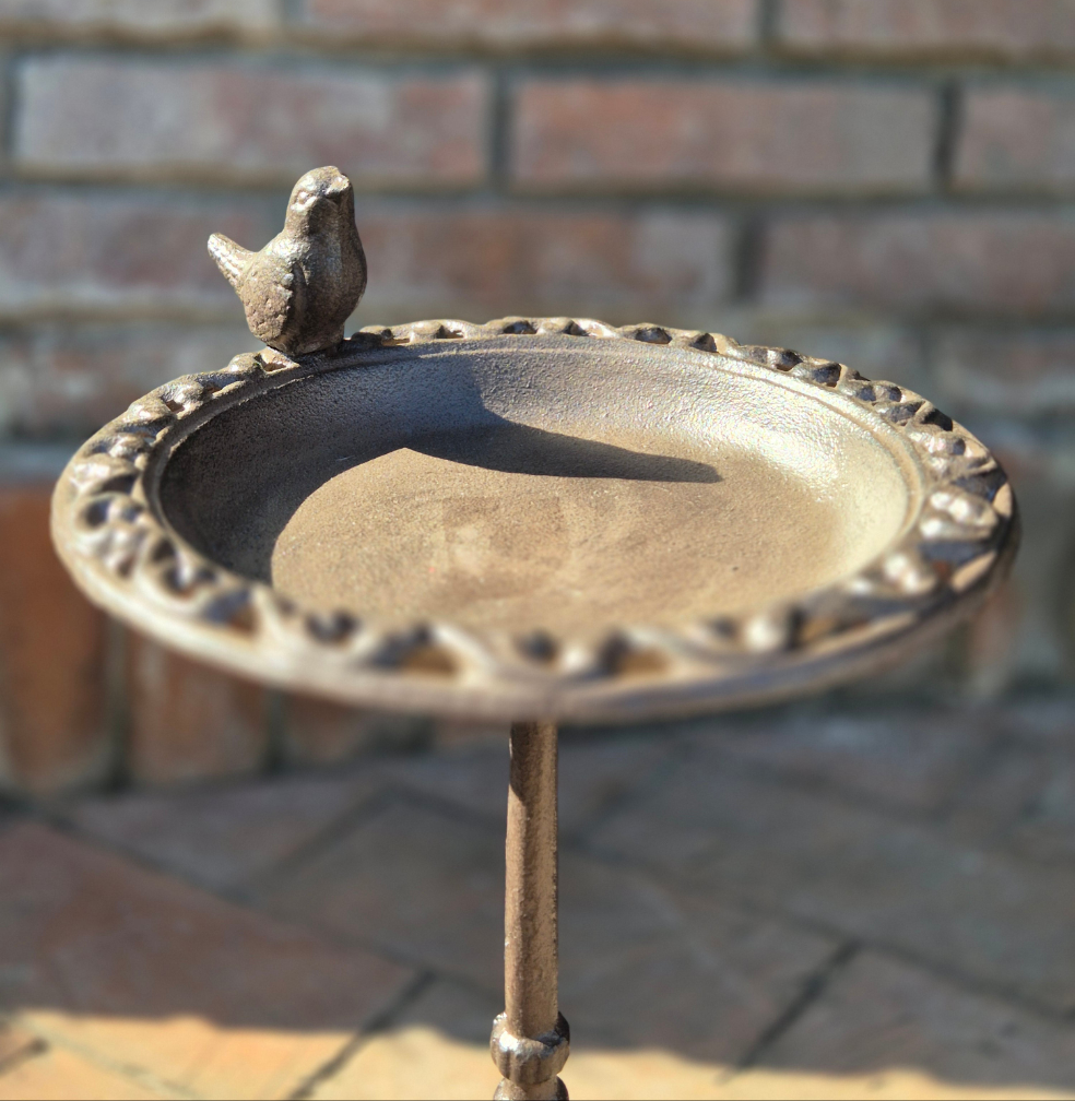 Bebedero pájaros pie en hierro