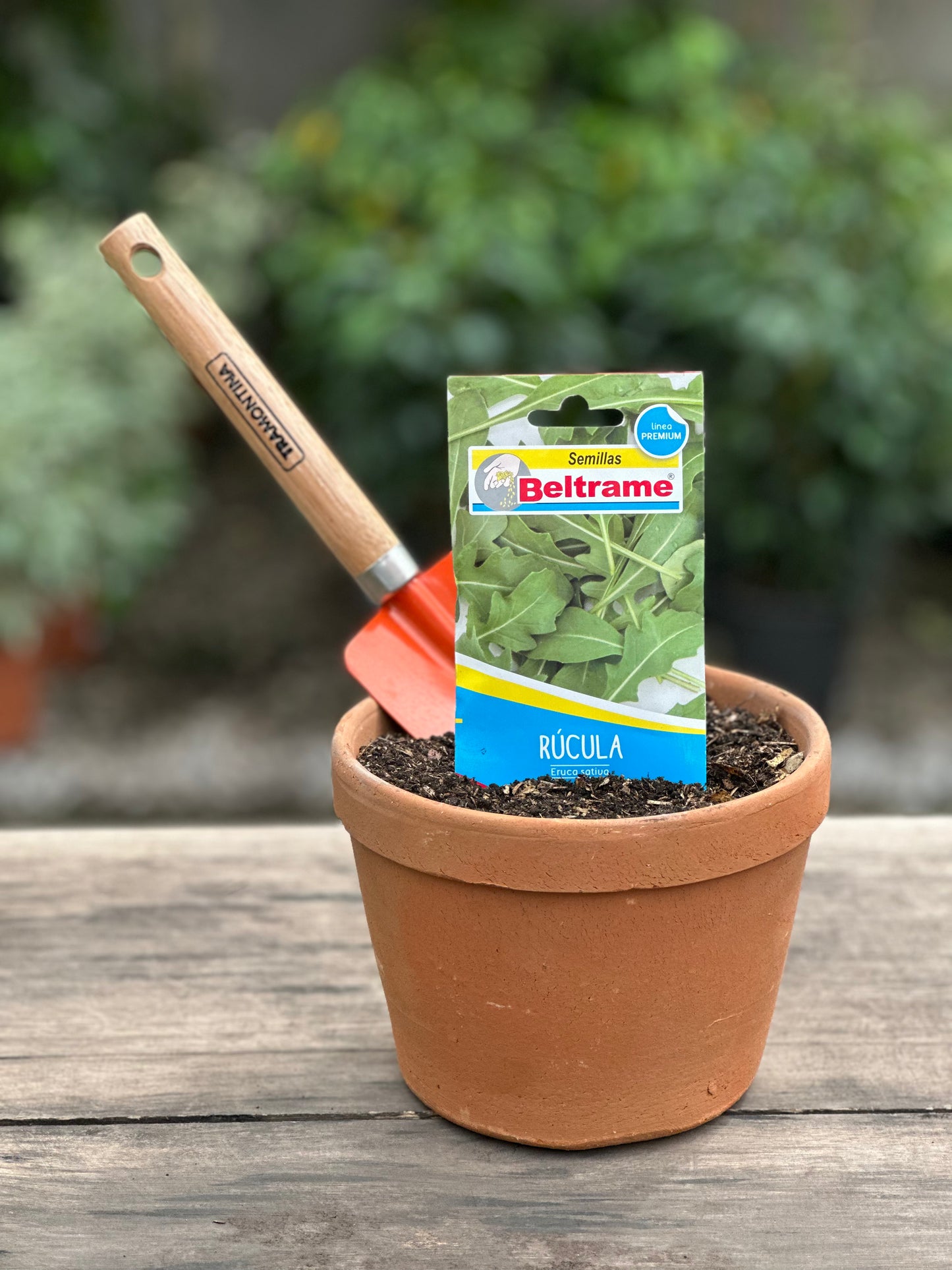 Semillas para huerta