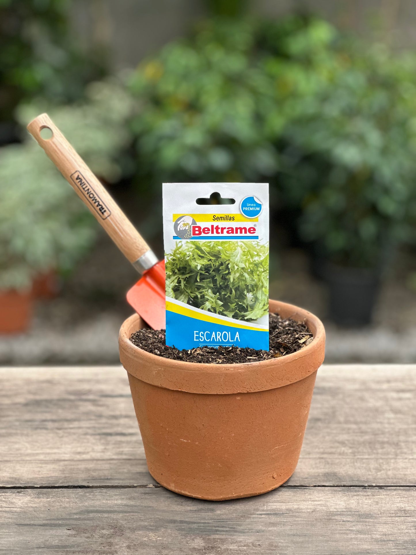 Semillas para huerta