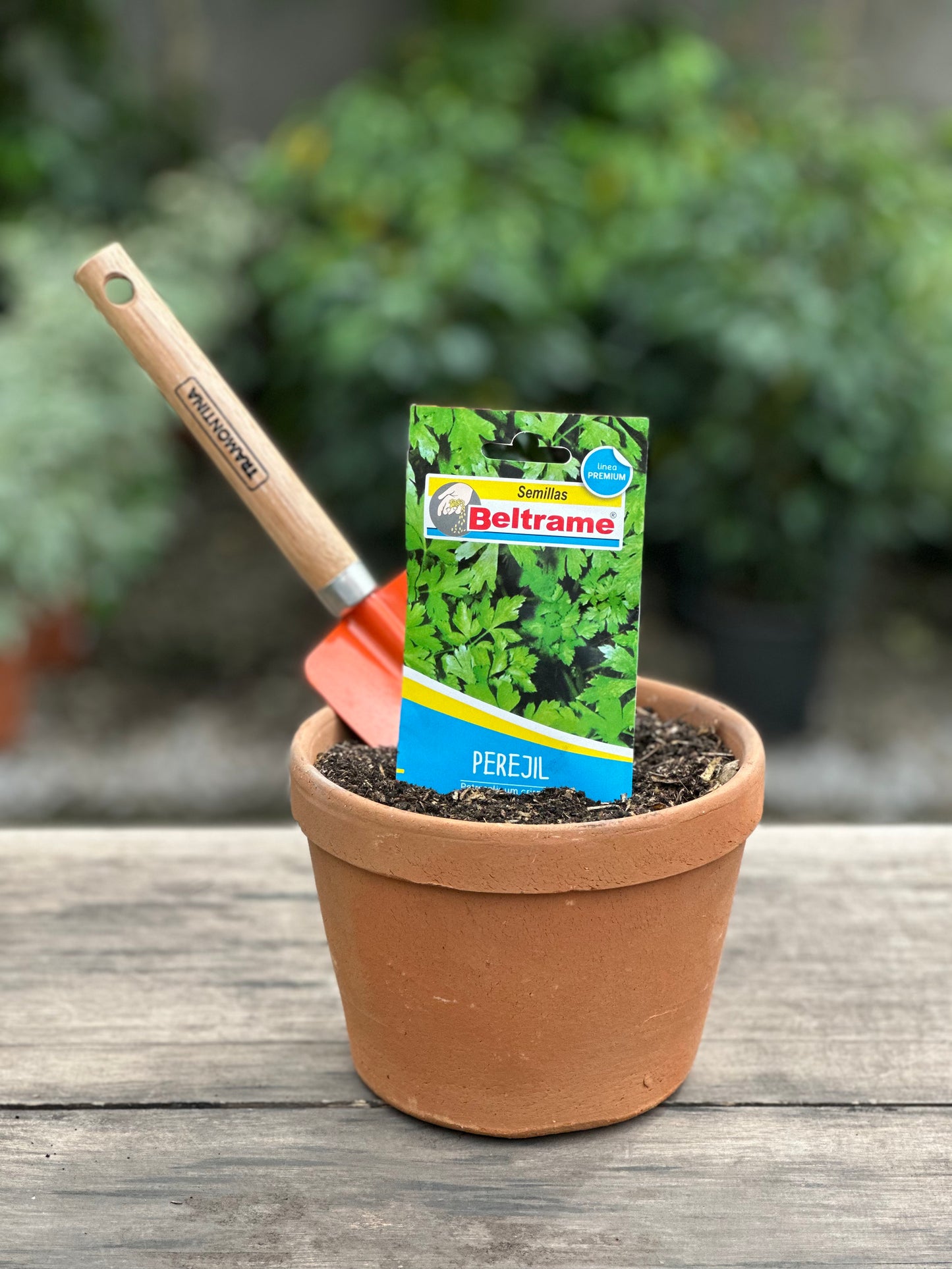 Semillas para huerta