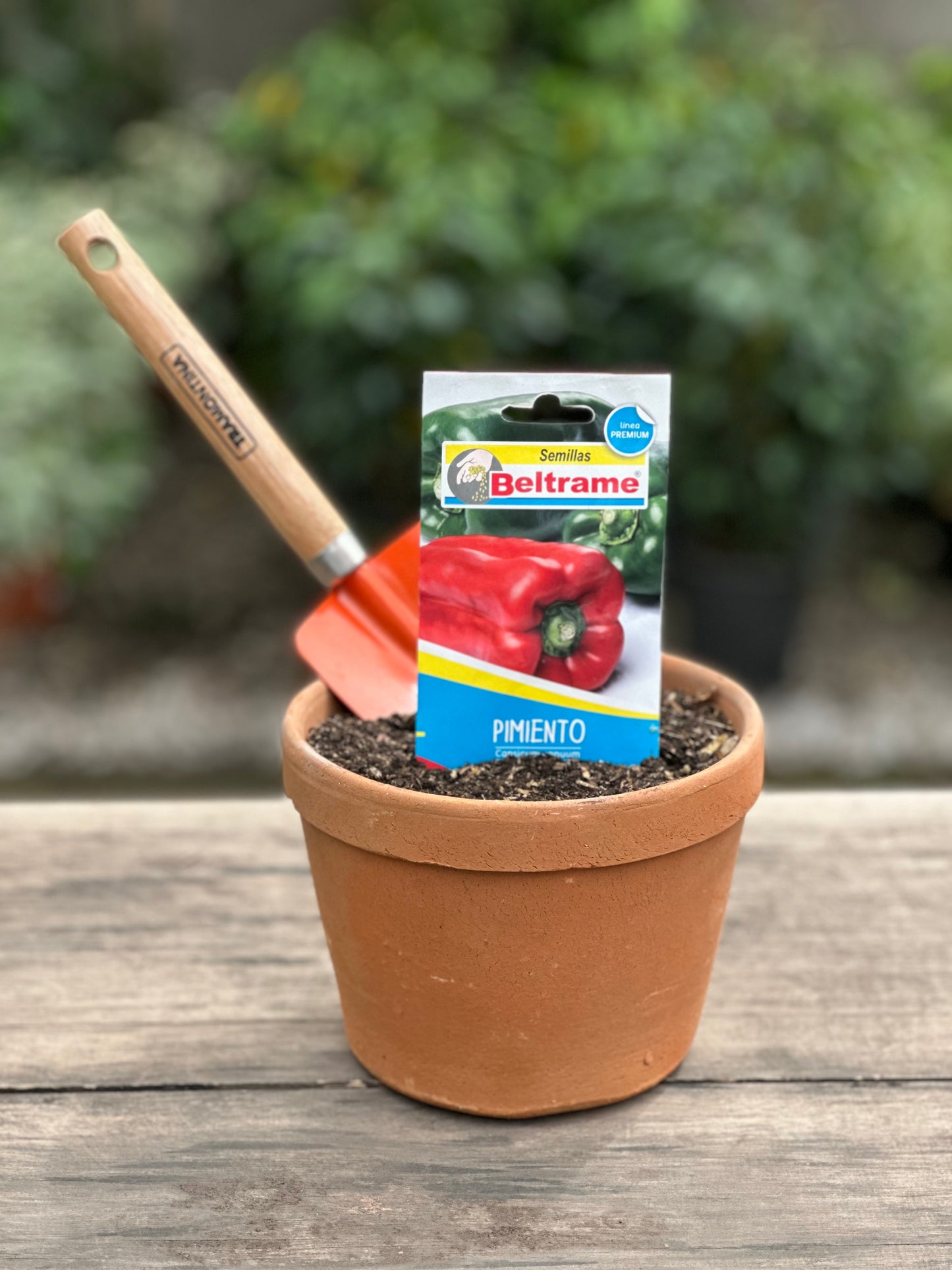 Semillas para huerta