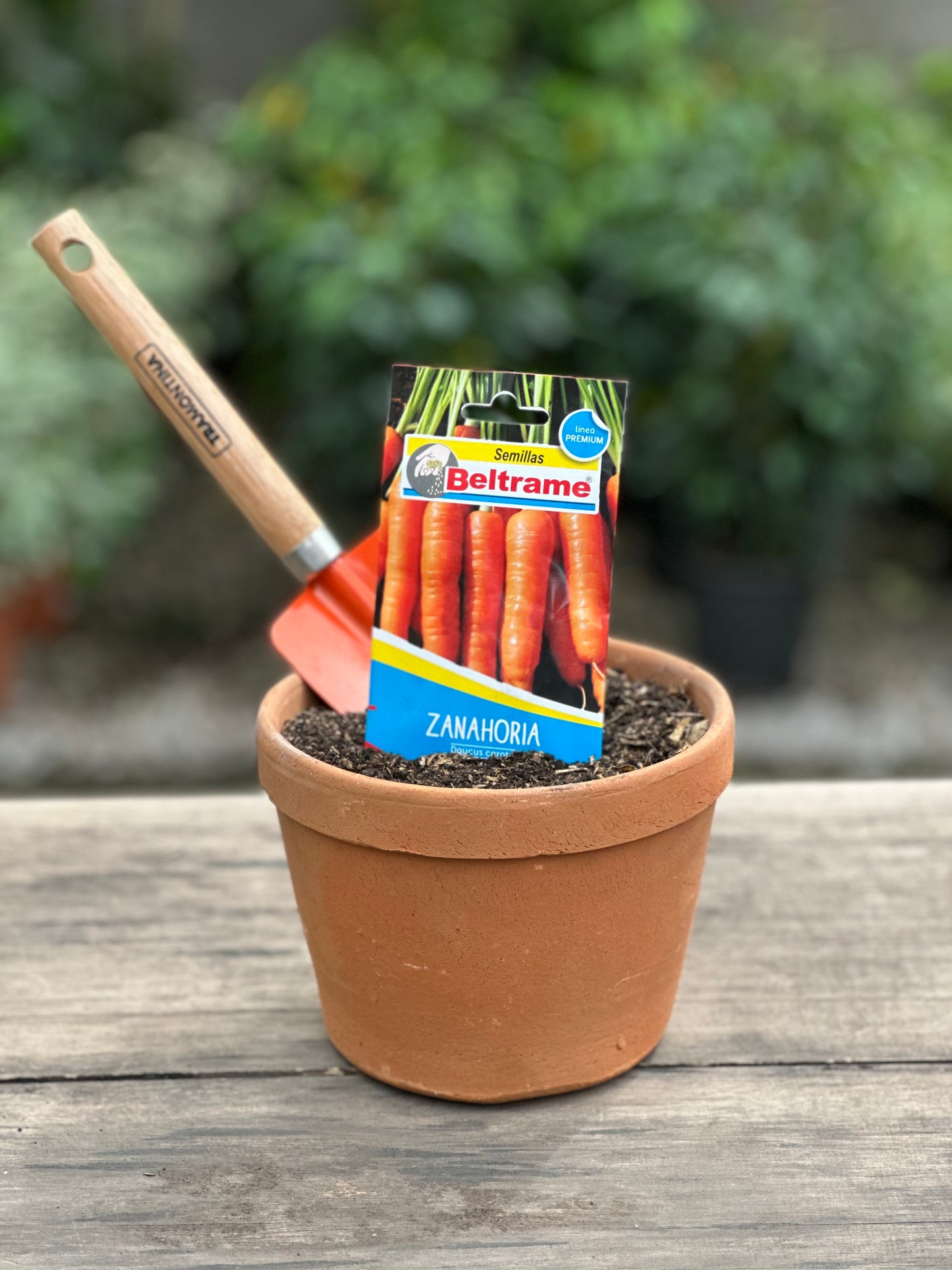 Semillas para huerta