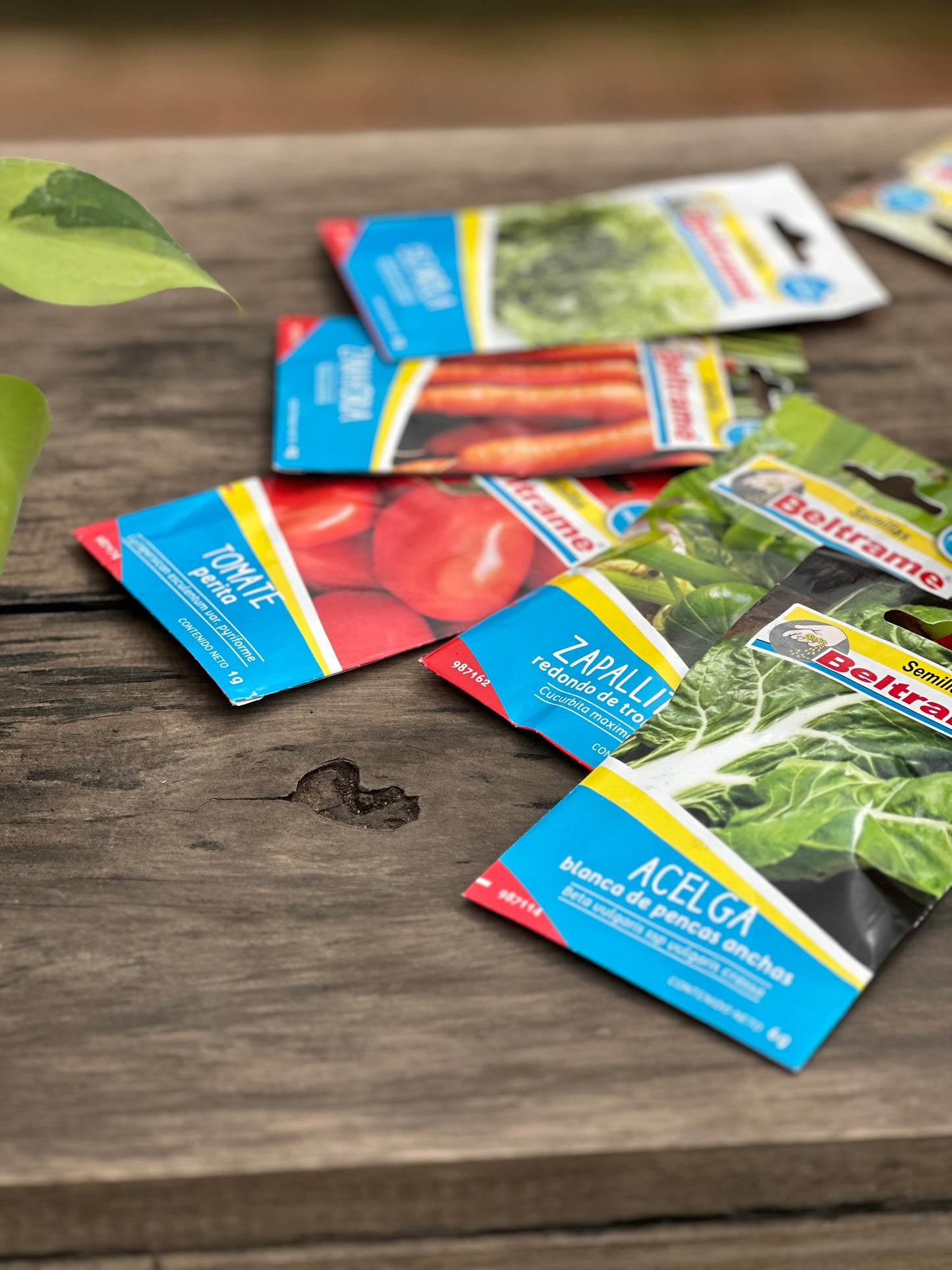 Semillas para huerta