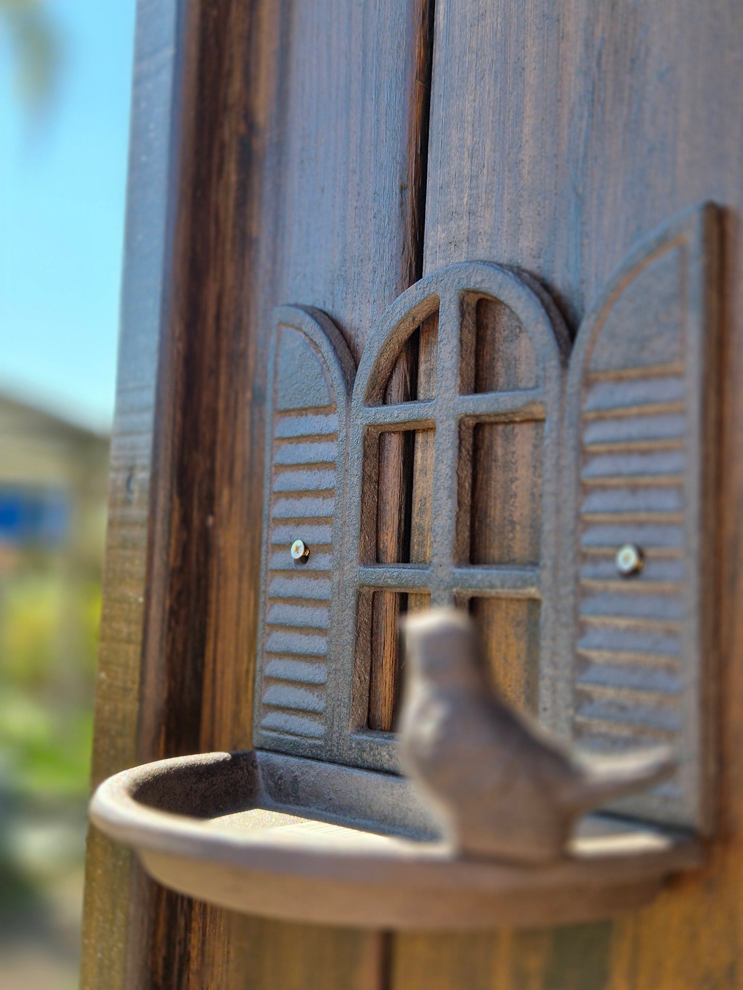 Bebedero pájaros ventana