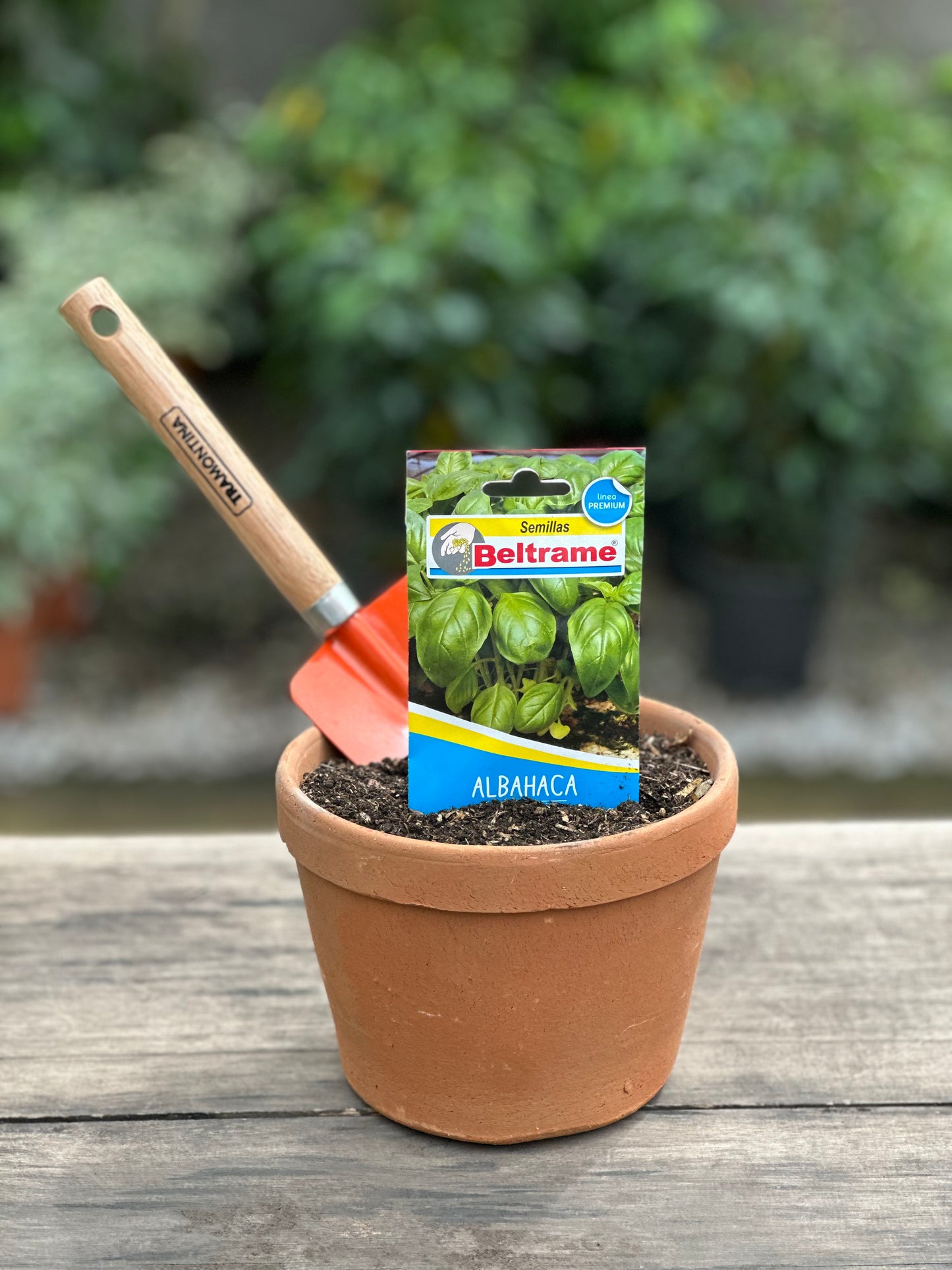 Semillas para huerta